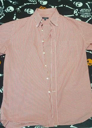Сорочка burberry london (100% cotton, розмір 41 / l)