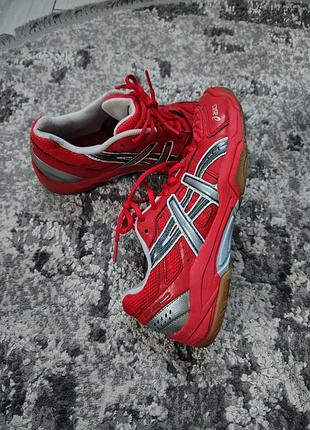 Кросівки asics