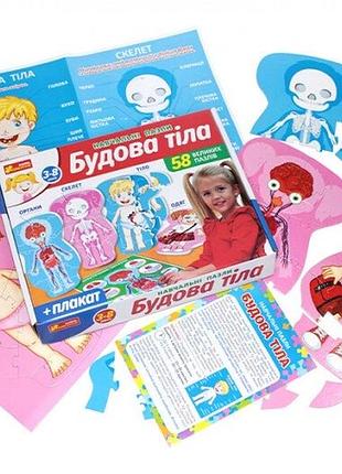 Дитячі навчальні пазли будова тіла