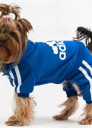 Спортивный костюм для собак adidog