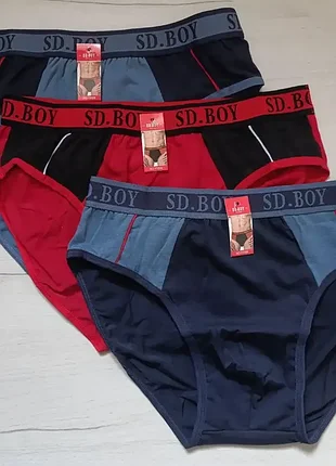 Мужские хлопковые трусы sd.boy 2xl (31-32 см) (набор 6 шт)