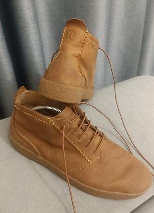 Черевики clarks 5