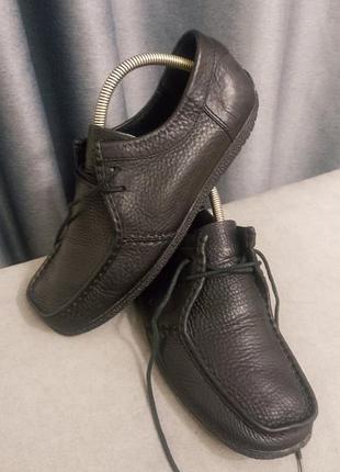 Туфлі clarks