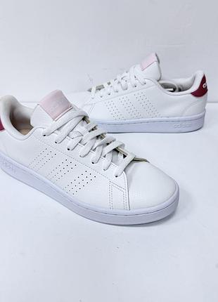 Кросівки adidas