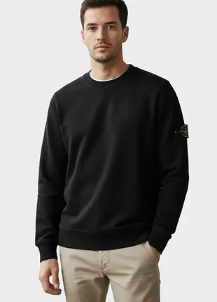 Чоловічий світшот stone island s0297 l1s156100011-v0029