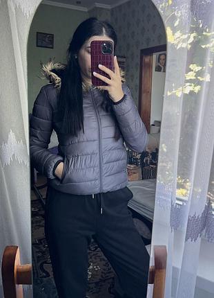 Сіра куртка