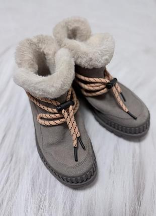 Жіночі теплі черевики ботинки palladium lo hiver grey 37,5 розмір