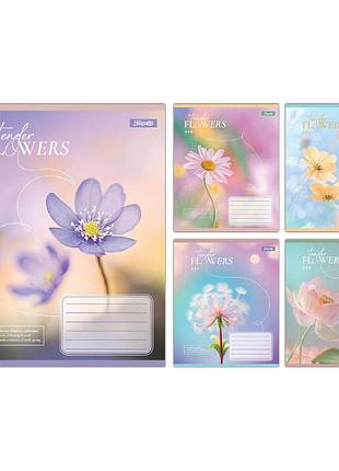 Зошит учнівський шкільний 1 вересня tender flowers а5 18 аркушів клітинка