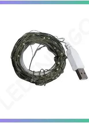Светодиодная гірлянда роса usb 10м 100led на зеленом проводе для декора и освещения интерьера sku_luggiusb100l10mgw