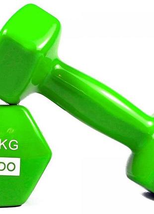 Гантели для фитнеса с виниловым покрытием 2шт godo gd-3.0gr