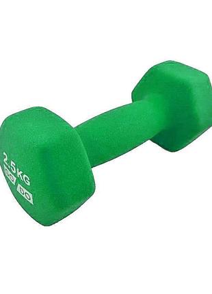 Гантели для фитнеса матовый 2шт g0290-2.5gr красный