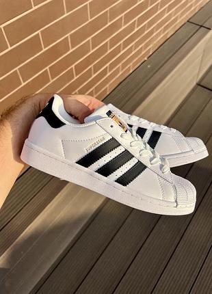 Adidas superstar white