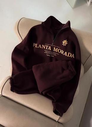 Sane костюм planta morada шоколад