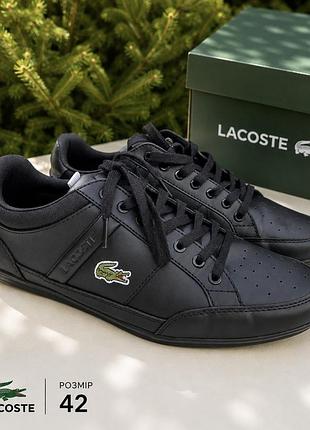 Кросівки lacoste, оригінал