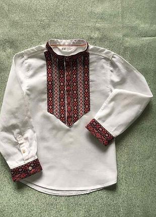 Вишиванка сорочка вишита бавовняна