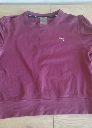 Кофта puma бордовый размер s