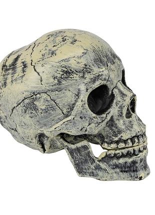 Декоративный череп 13 см декор halloween 19406-038