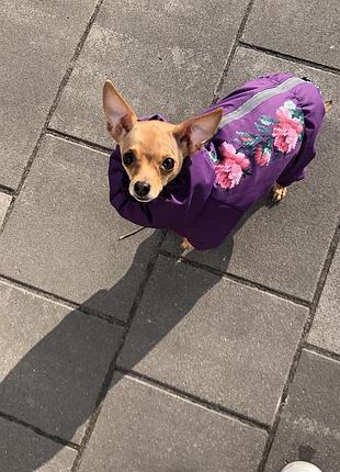 Комбінезон зимовий для дівчинки pet fashion