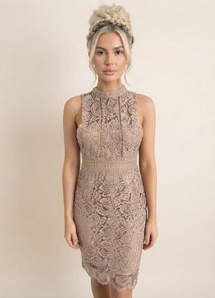 Шикарна мереживна сукня, кружевне плаття boohoo