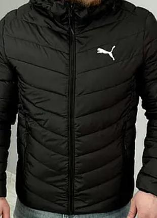 Чоловіча стьобана куртка з капюшоном puma