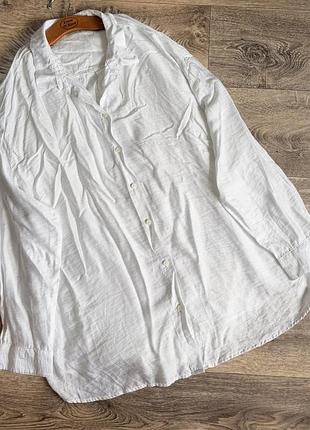 Базова трендова біла сорочка, xxl 3xl