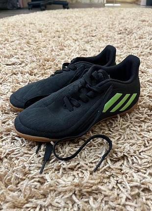 Кросівки  adidas