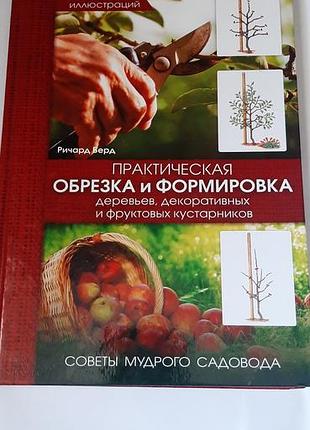 Обрезка и формирование деревьев, декоративных и фруктовых ку кустарников.