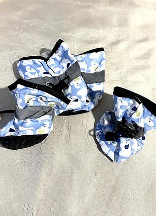 Чобітки для собаки