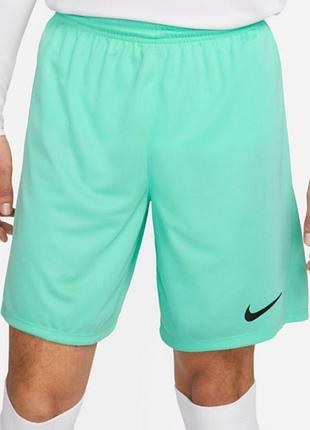 Шорти nike у мʼятному кольорі