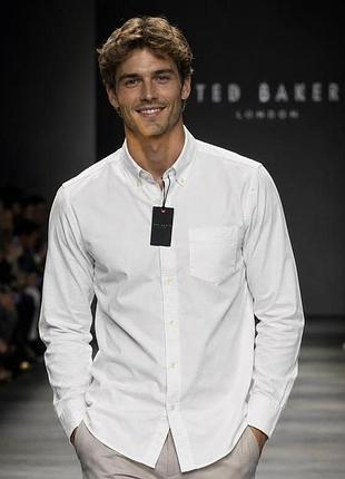 Рубашка мужская ted baker белая s/m oxford