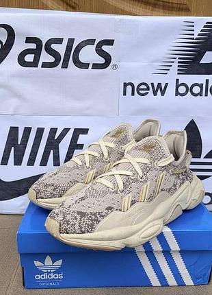 Кроссовки adidas originals ozweego knit для тренировок