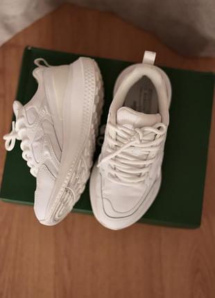 Кросівки lacoste оригінал
