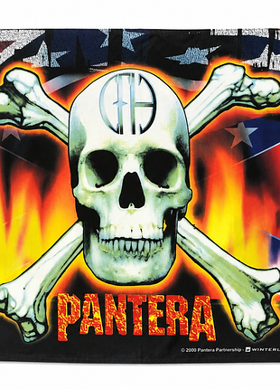 Прапор pantera band flag winterland