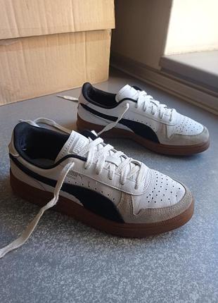 Кросівки шкіряні puma indoor 2024