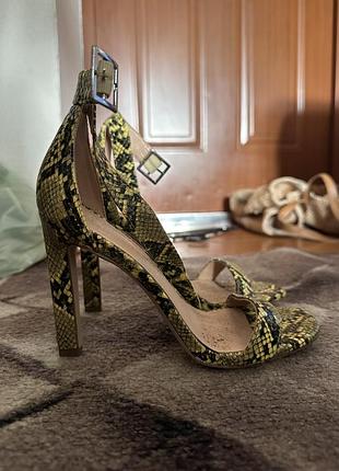 Босоніжки steve madden