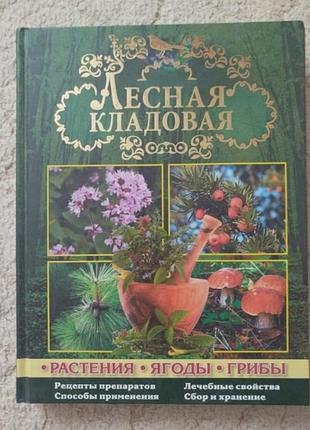Лесная кладовая растения грибы ягоды 
справочник лекарственных растений