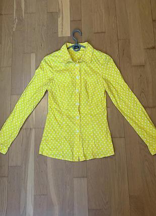 Сорочка в горох бренду must have. розмір 36. стан нової