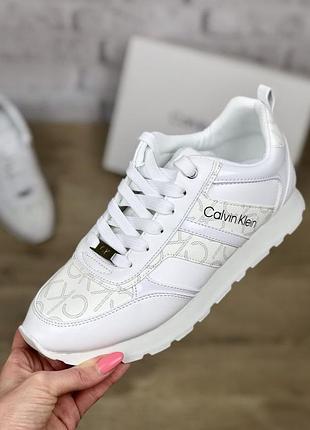 Кросівки жіночі calvin klein carlla white білі оригінал 39 розмір