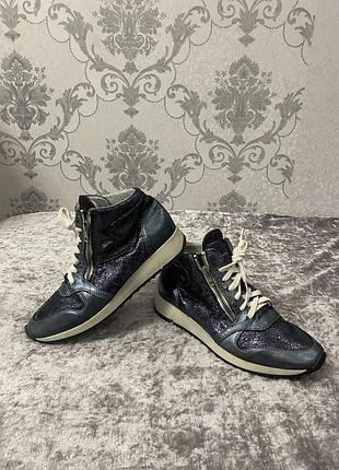 Кросівки sketchers