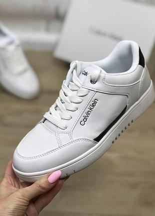 Кеди жіночі calvin klein hallen white білі оригінал