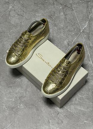 Кеди santoni (оригінал, made in italy)
