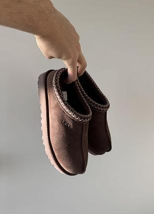 Tasman slipper brown