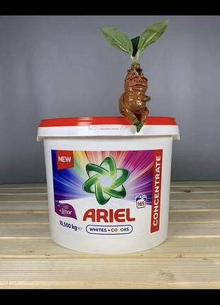 Порошок для прання 10,5 кг ariel тільки опт