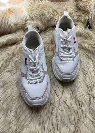 Levi's жіночі кросівки