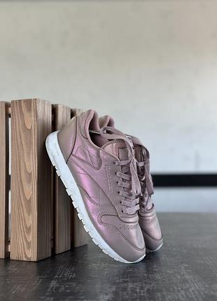 Кросівки reebok
