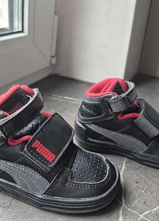 Черевички puma 2