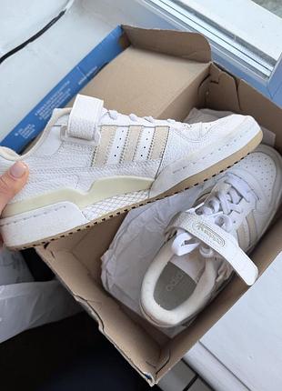 Кросівки adidas forum low