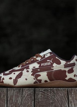 Puma speedcat cow print