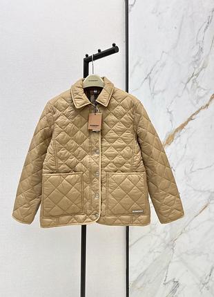 Жіноча куртка burberry женская