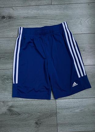 Шорти спортивні від adidas